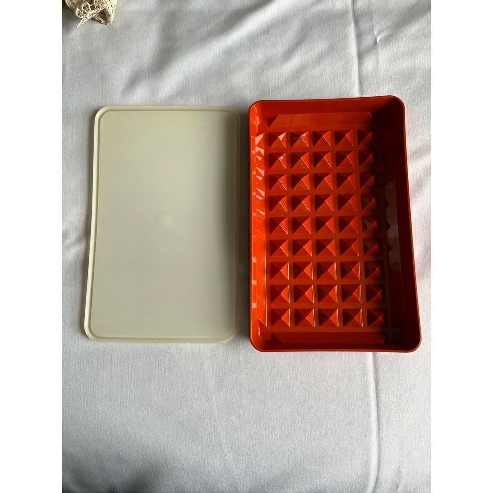 Vintage Tupperware Hot Dog Keeper BBQ Picnic Storage Container Holds 12